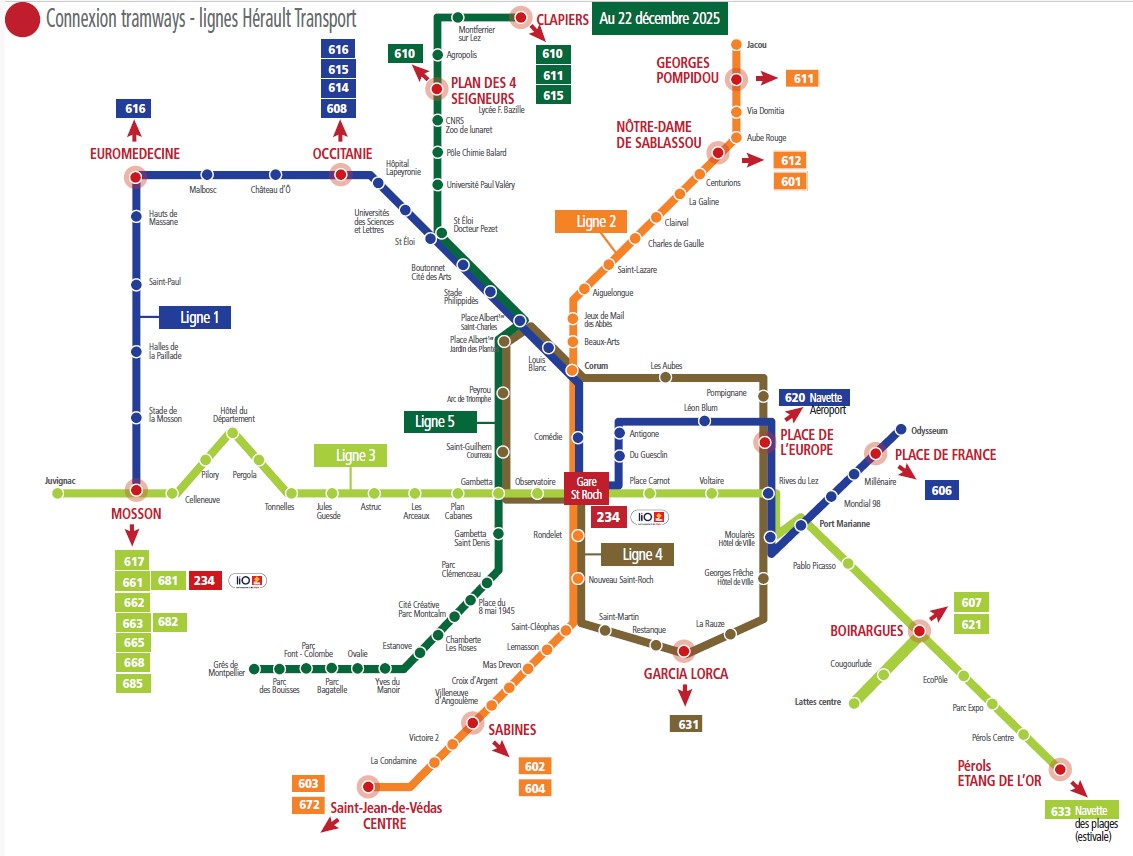 Plan de situation des lignes régulières sur le réseau TaM