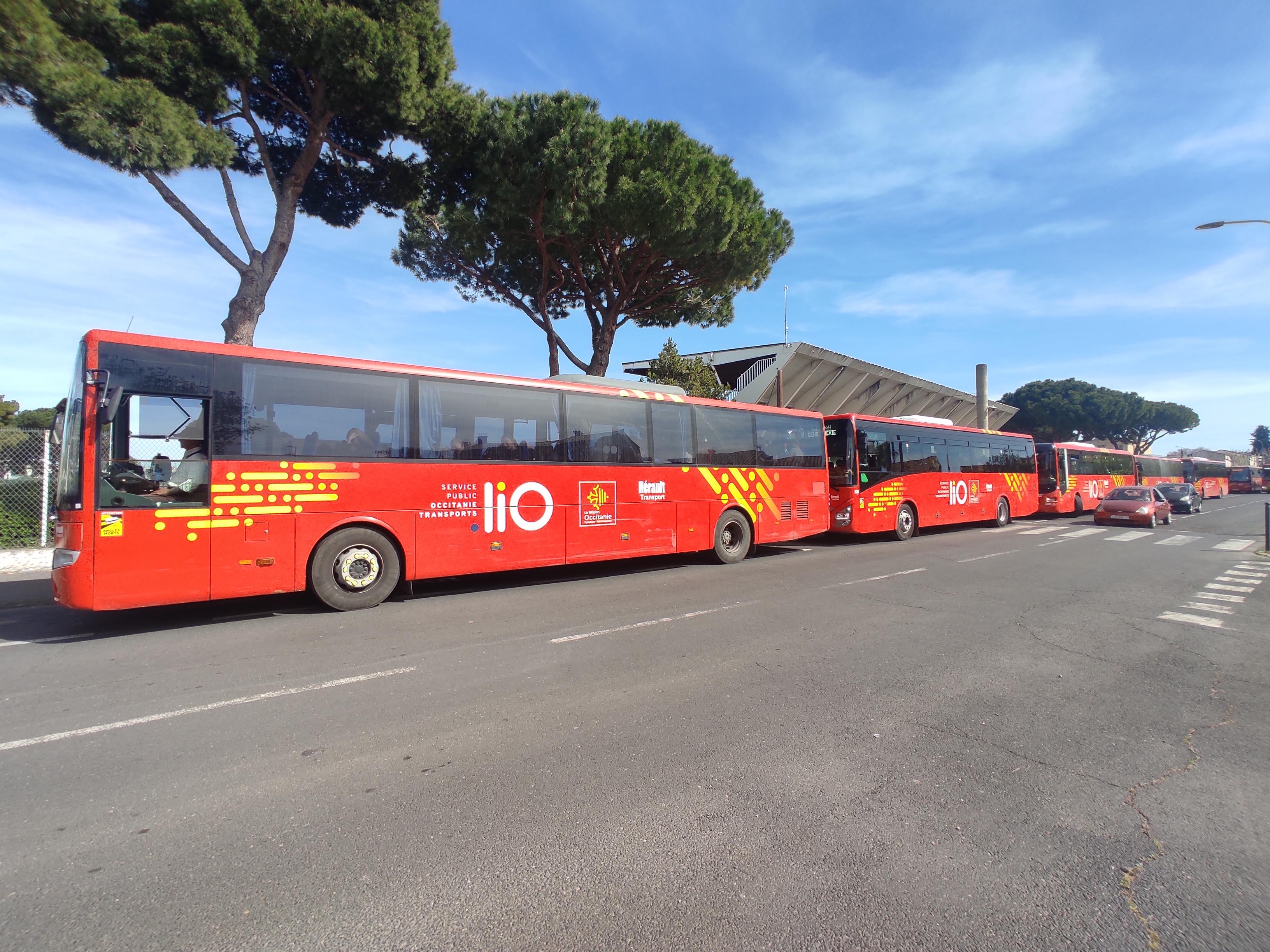 cars herault-transport